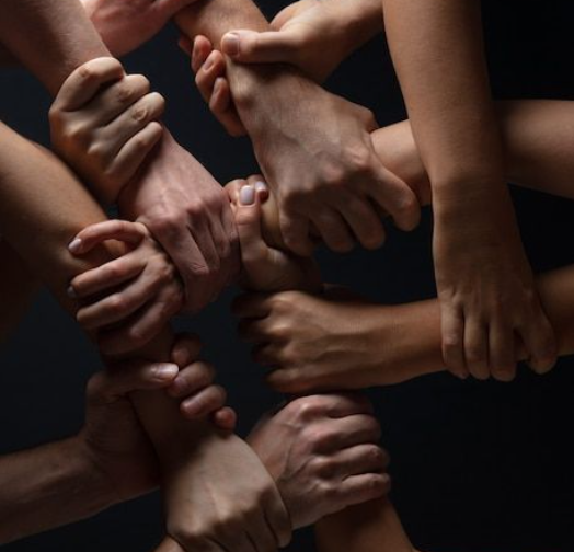 From Events to Everyday Engagement: How Social Community Platforms Keep Members Connected Year-Round